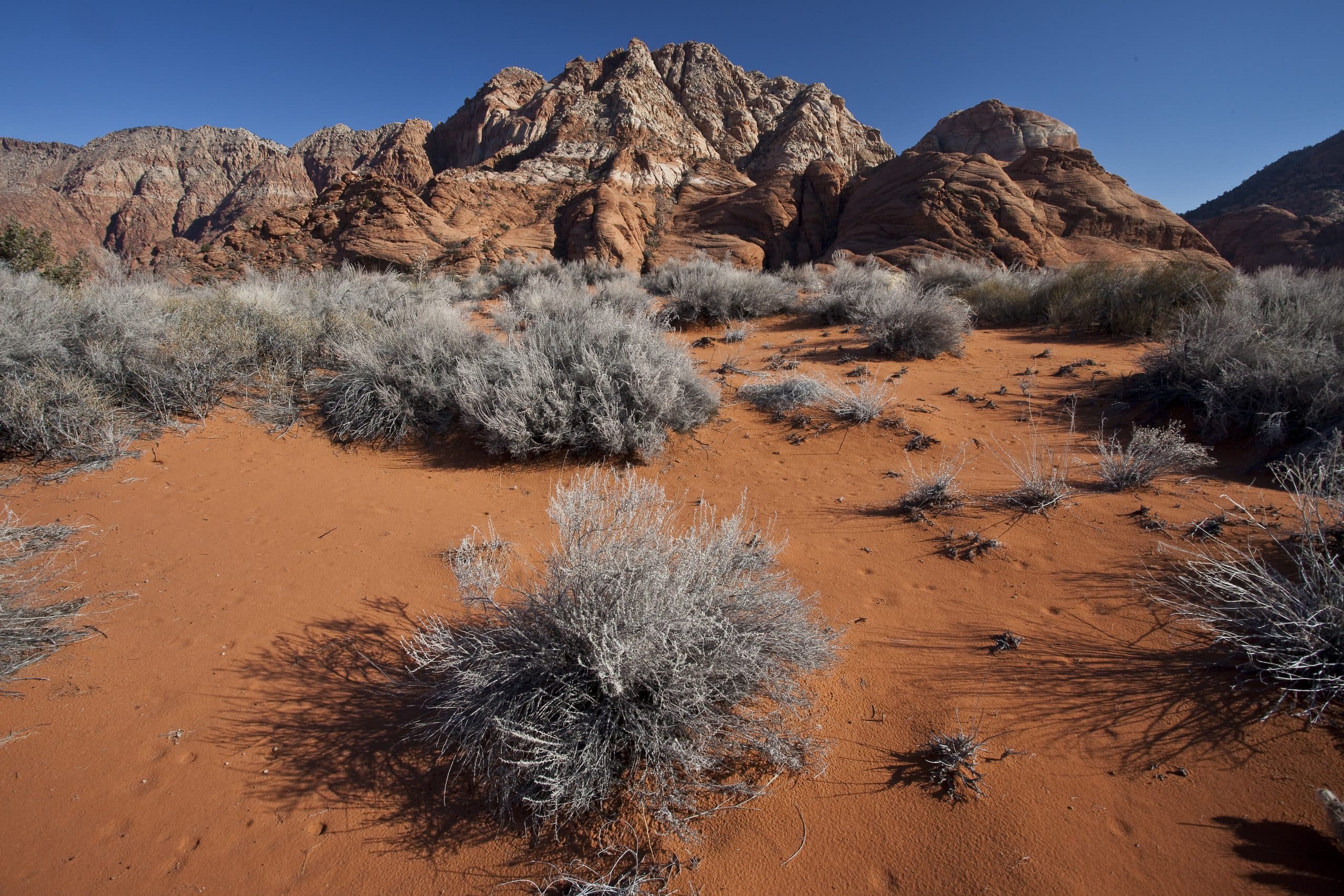 Red sand, sagebrush and Navajo sandstone in the Red Cliffs National Conservation Area near St. George